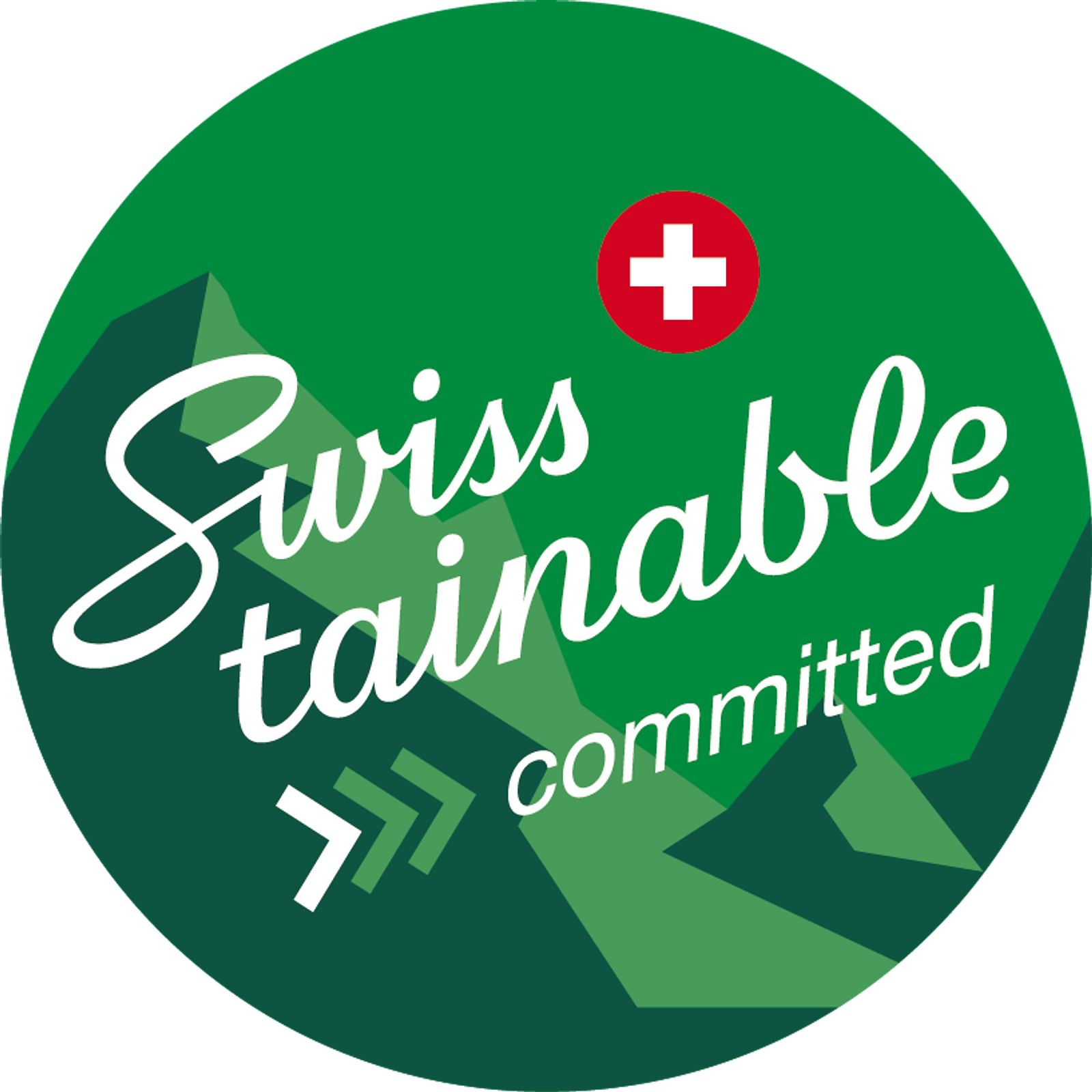 125_20q_01_swisstainable_1_committed_RGB.png